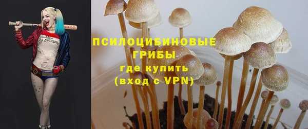 ешки Баксан