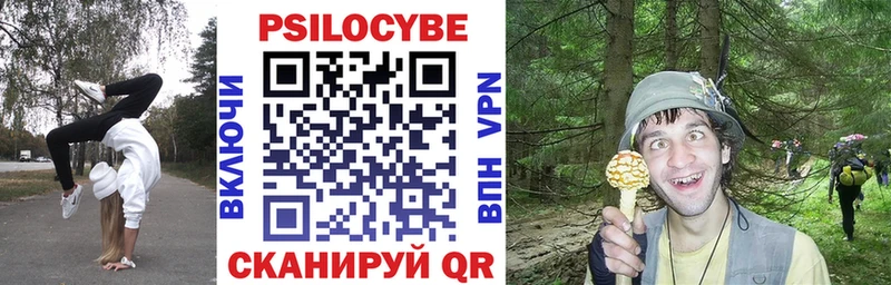 Купить где  Боровск  Псилоцибиновые грибы MAGIC MUSHROOMS 